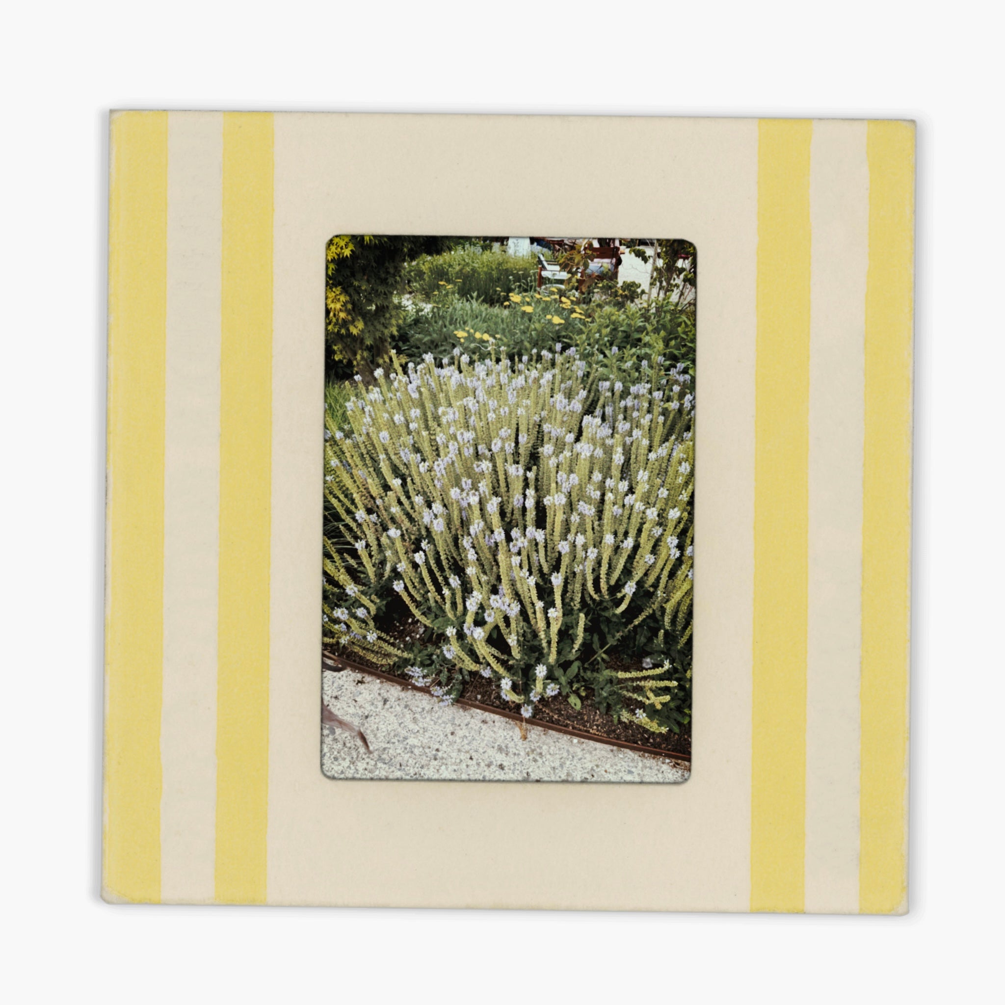 Colour Stitch – Yellow Stitch