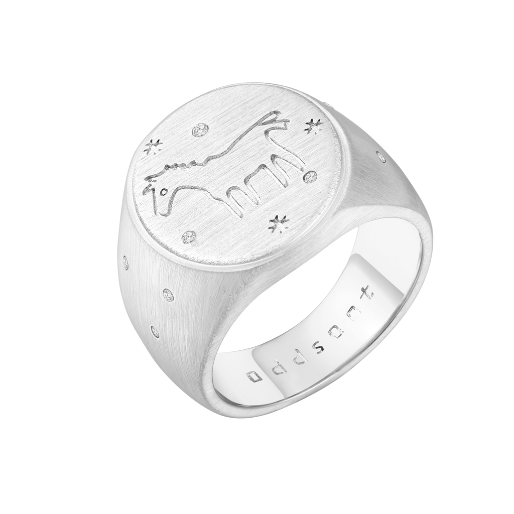Bague en forme de pièce de monnaie Pony